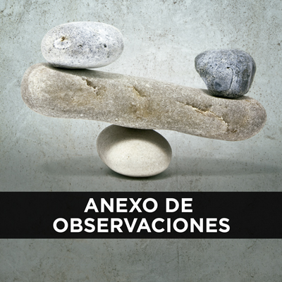 Anexo de observaciones